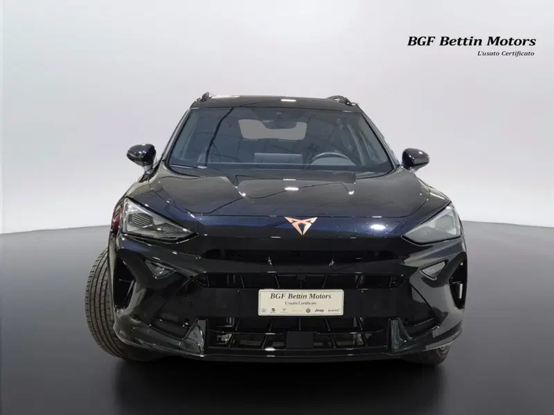 Cupra Formentor usata a Padova (7)