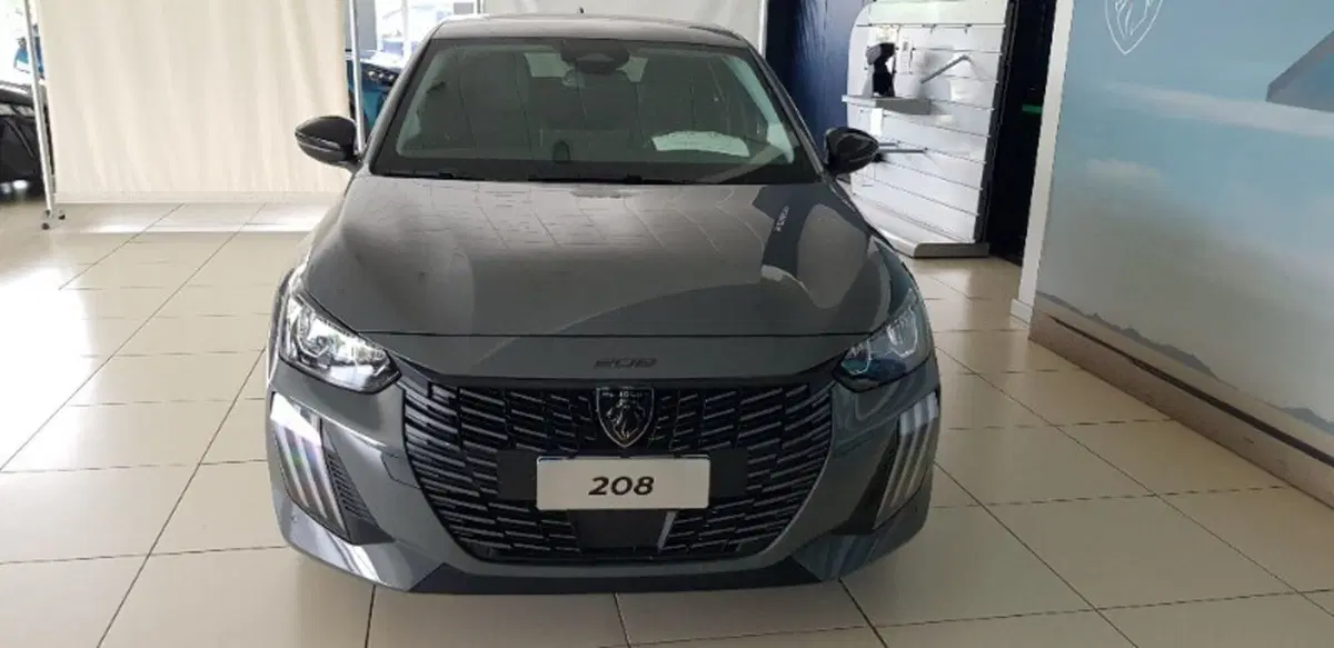 Peugeot 208 usata a Pordenone (2)