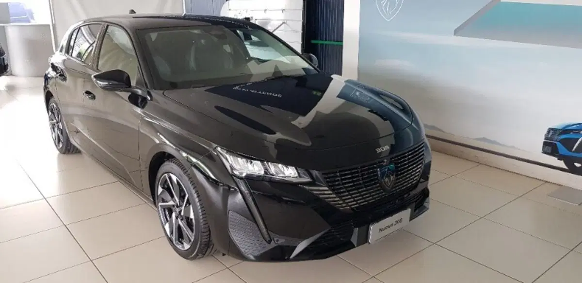 Peugeot 308 usata a Pordenone