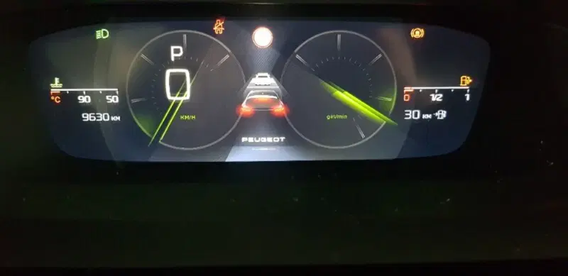 Peugeot 308 usata a Pordenone (15)