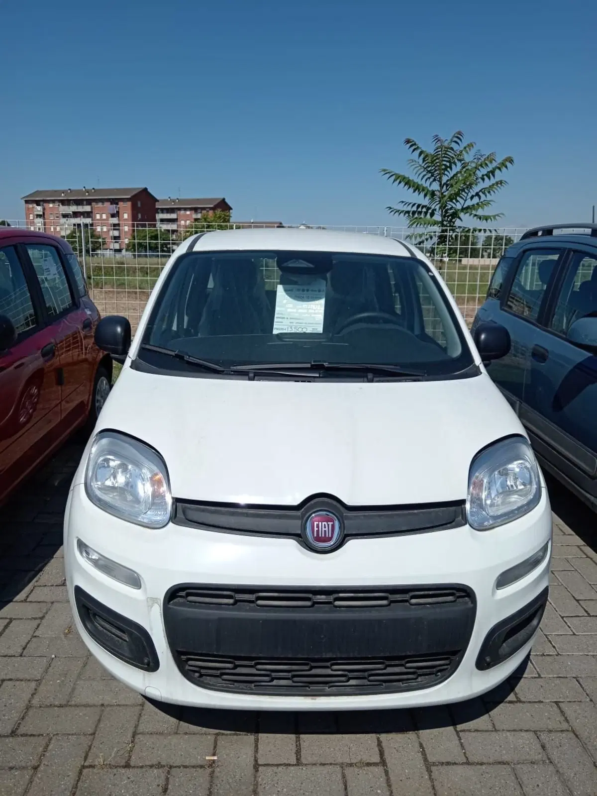 Fiat Panda Cross nuova a Alessandria