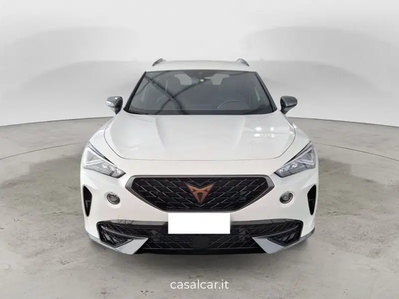 Cupra Formentor usata a Salerno (2)