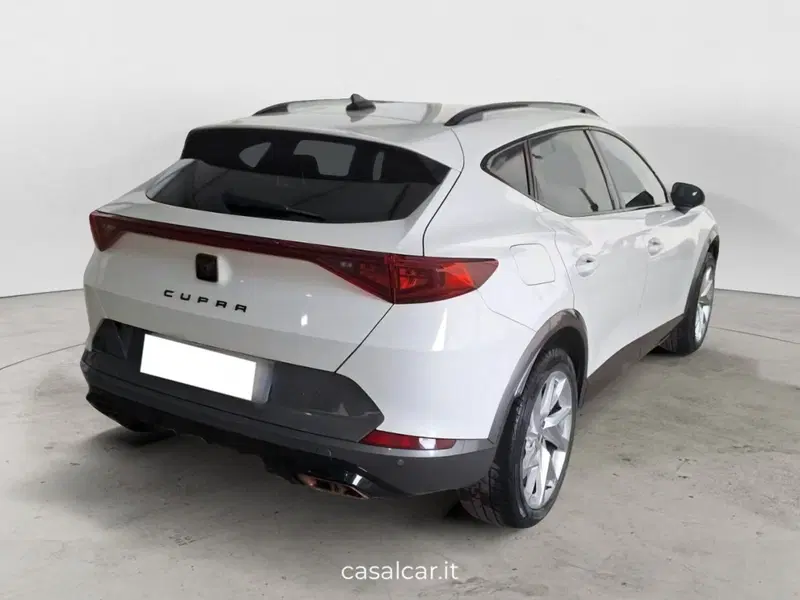 Cupra Formentor usata a Salerno (3)