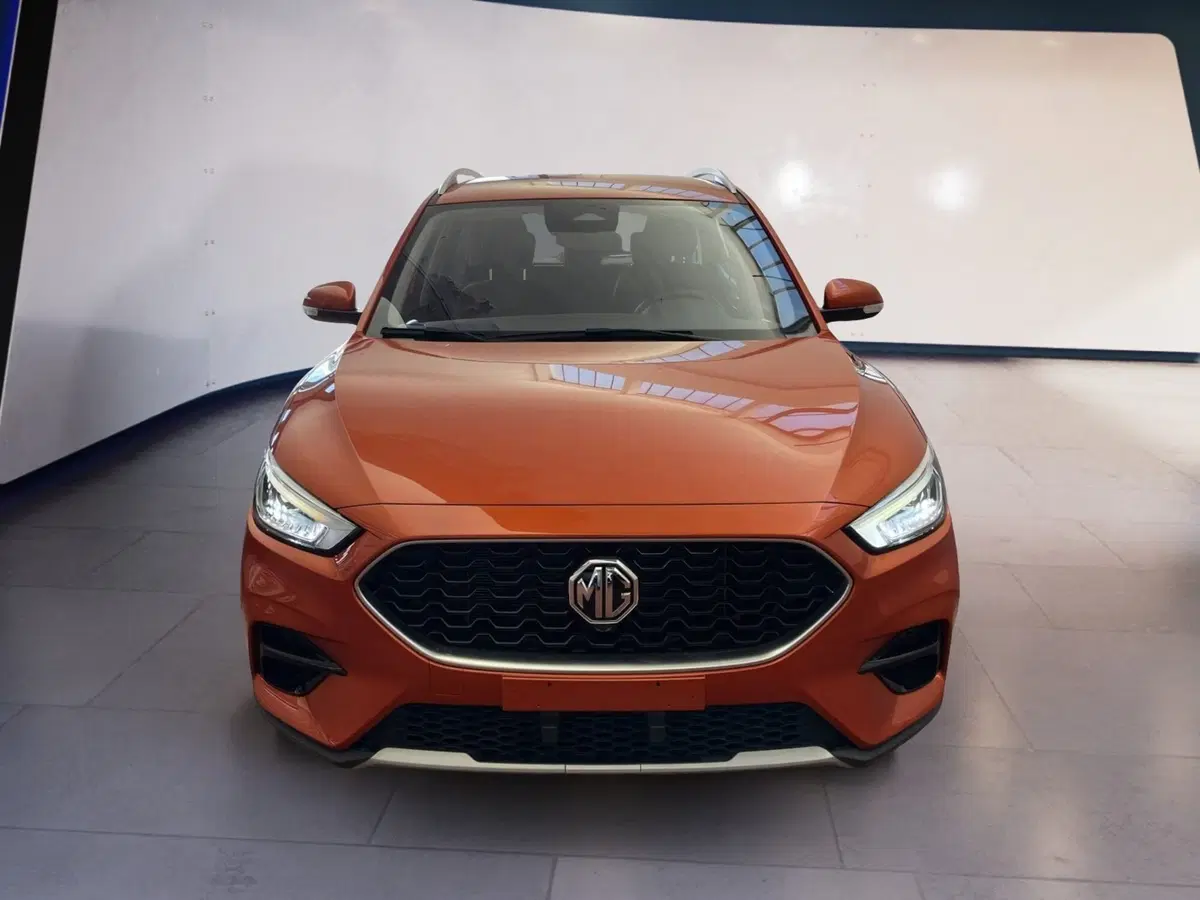 Mg ZS usata a Torino