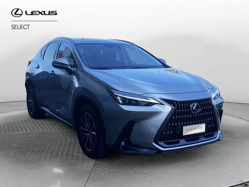 Lexus NX usata a Venezia (2)
