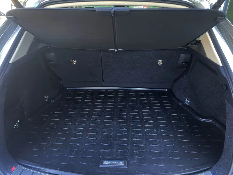 Lexus NX usata a Venezia (20)