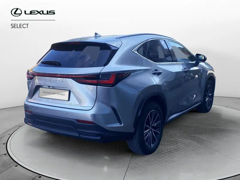 Lexus NX usata a Venezia (3)