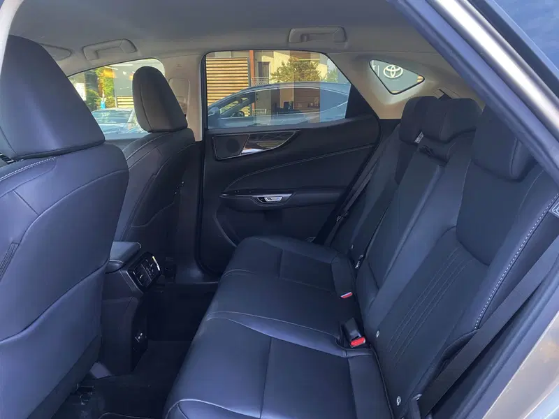 Lexus NX usata a Venezia (8)