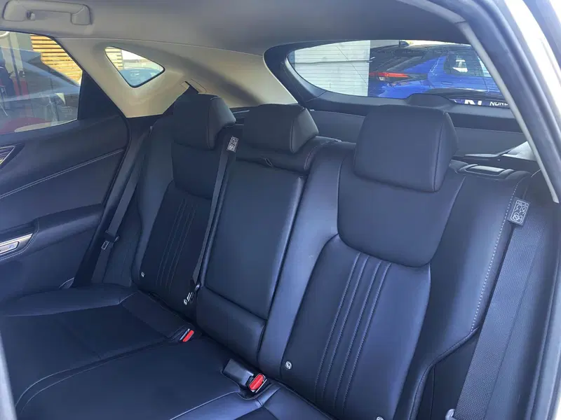 Lexus NX usata a Venezia (9)