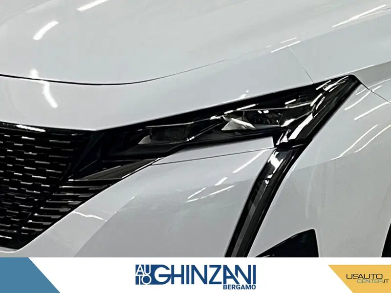 Peugeot 308 SW usata a Bergamo (14)