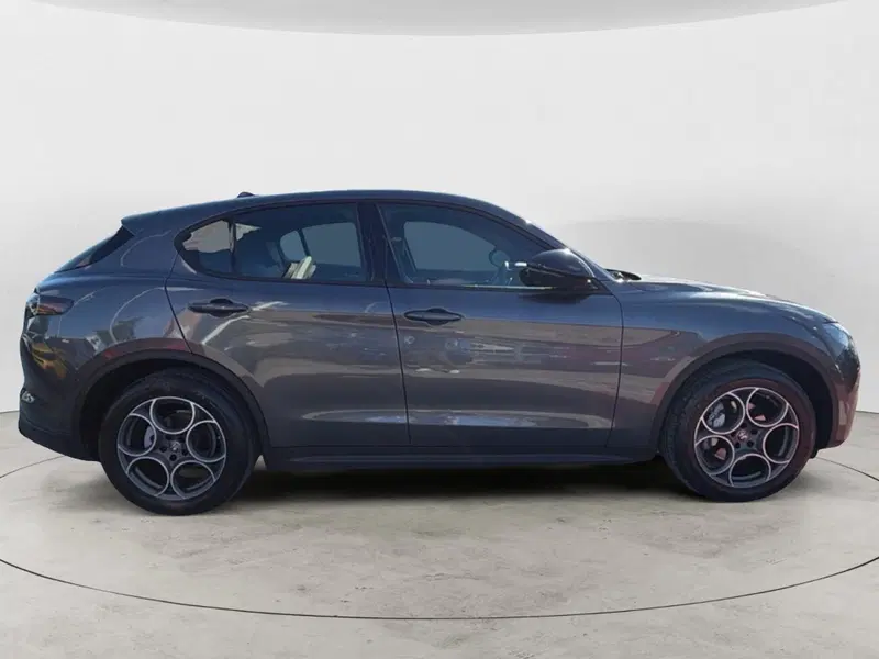 Alfa Romeo Stelvio usata a Campobasso (7)