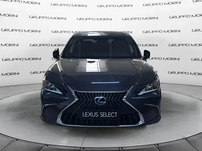 Lexus ES 300h 2.5 Executive cvt del 2023 usata a San Lazzaro di Savena