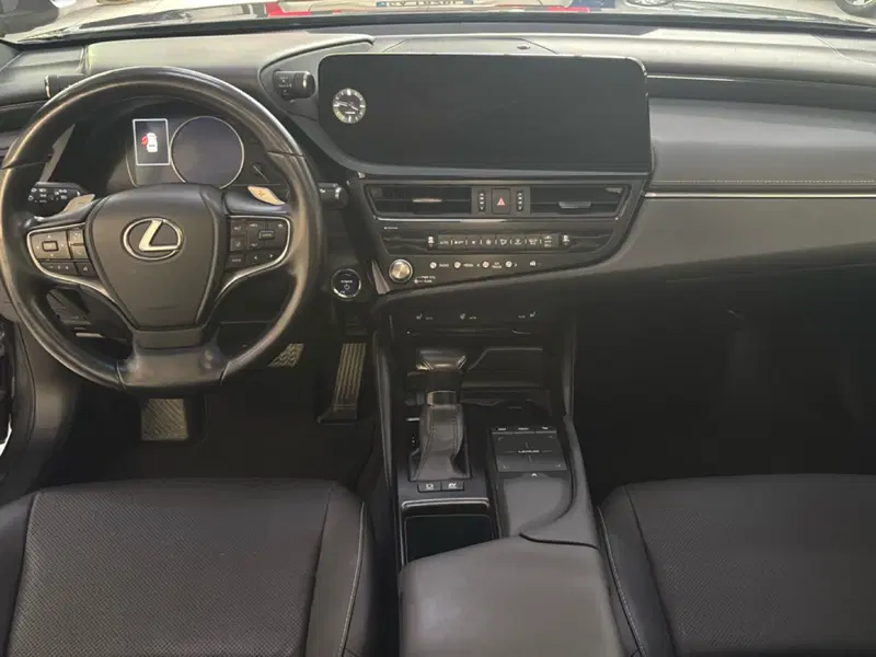 Lexus ES usata a Bologna (10)