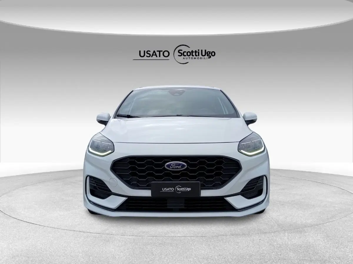 Ford Fiesta usata a Siena (2)