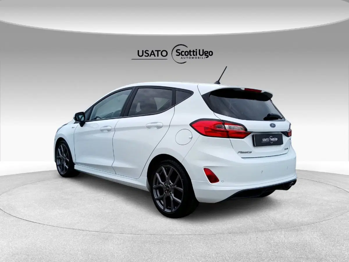 Ford Fiesta usata a Siena (4)