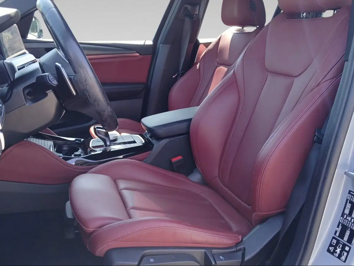 BMW X4 usata a Pisa (11)