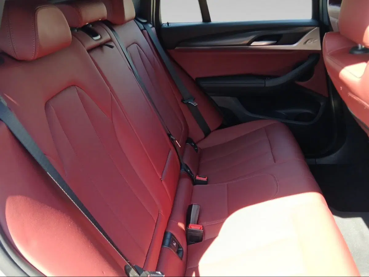 BMW X4 usata a Pisa (12)