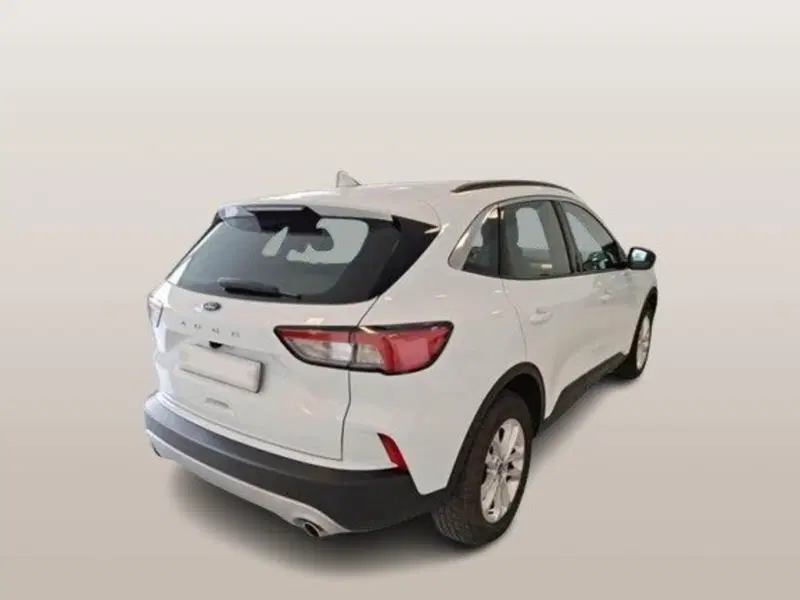 Ford Kuga usata a Macerata (4)