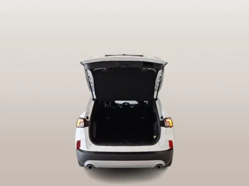 Ford Kuga usata a Macerata (5)