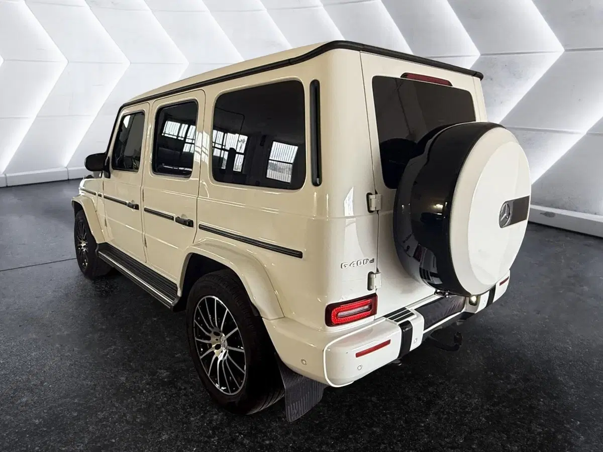 Mercedes-Benz Classe G usata a Napoli (6)