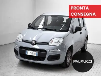 Fiat Panda 1.2 Easy del 2019 usata a Prato