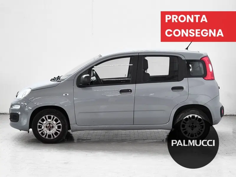 Fiat Panda usata a Prato (4)