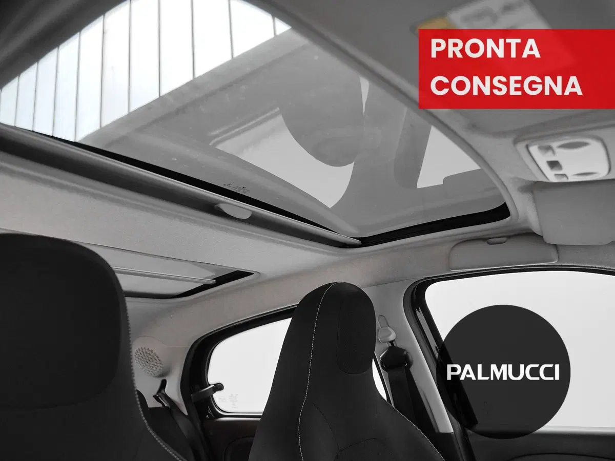 smart forfour usata a Prato (12)