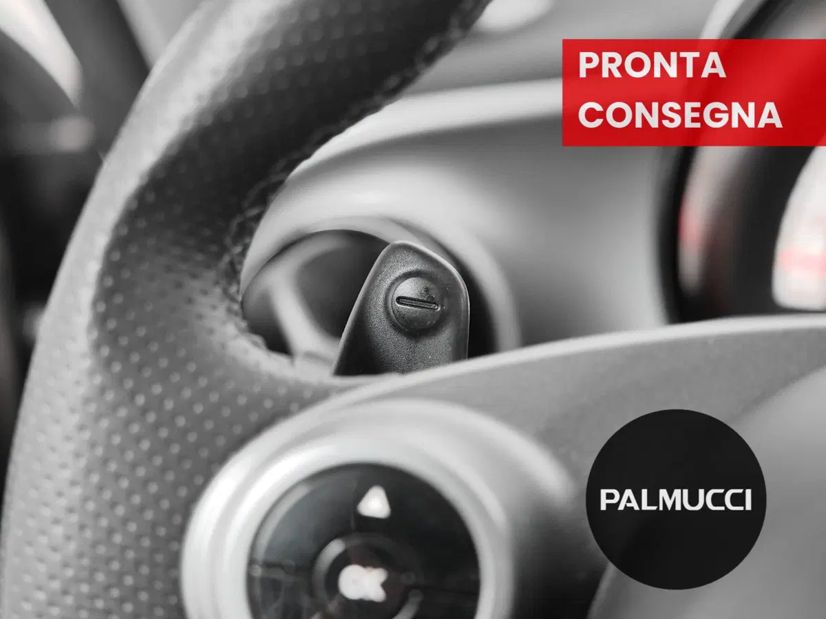 smart forfour usata a Prato (13)