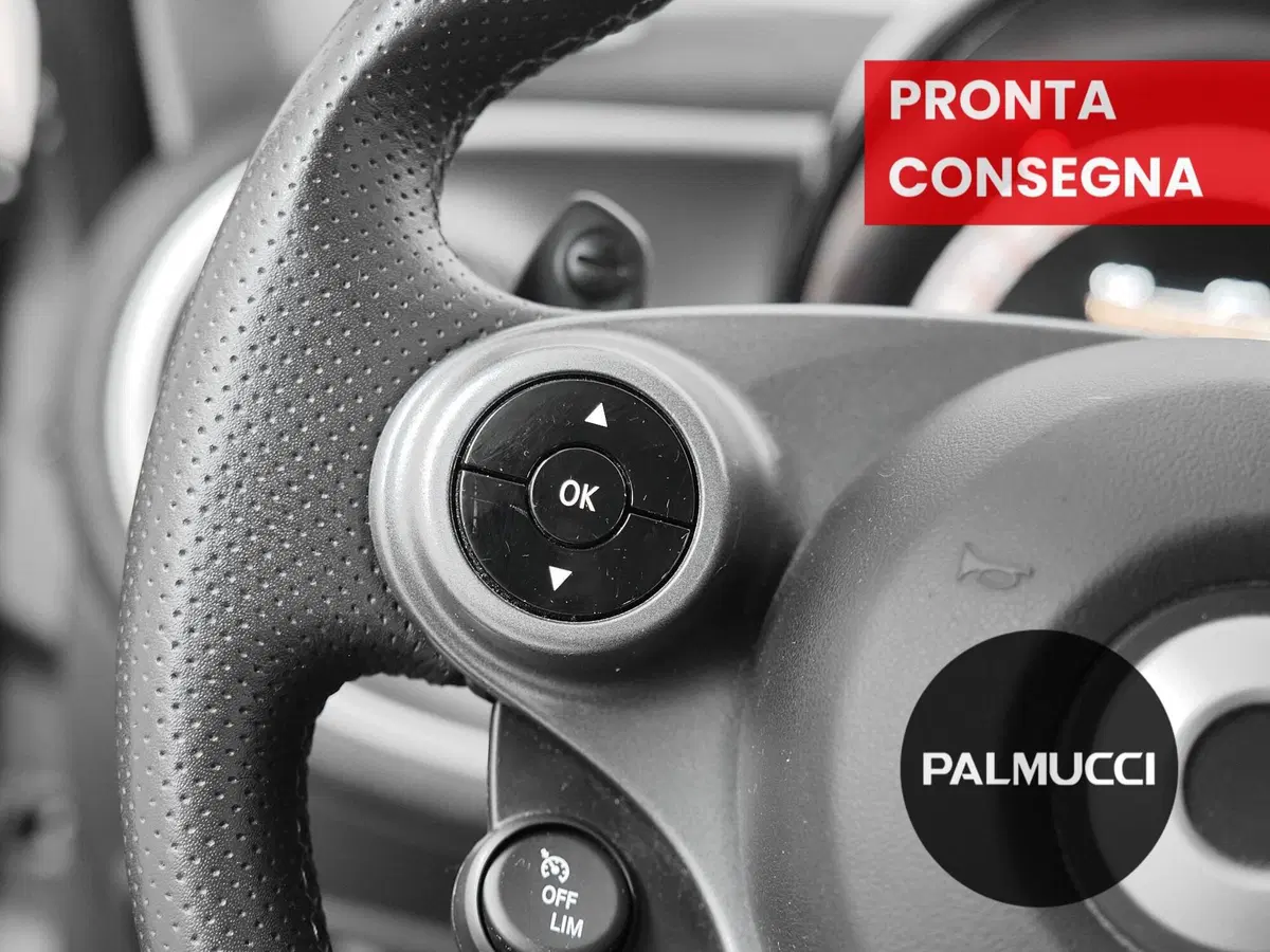 smart forfour usata a Prato (17)