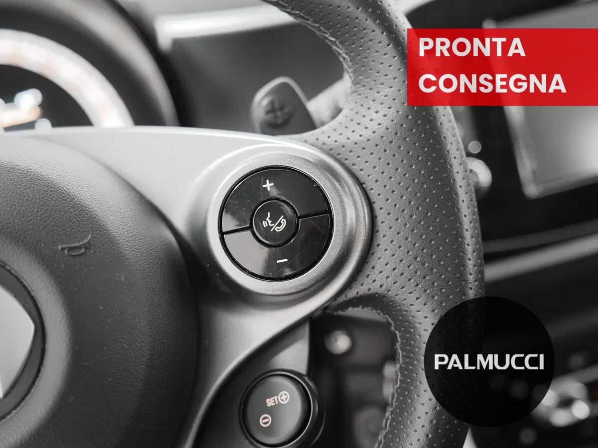 smart forfour usata a Prato (19)