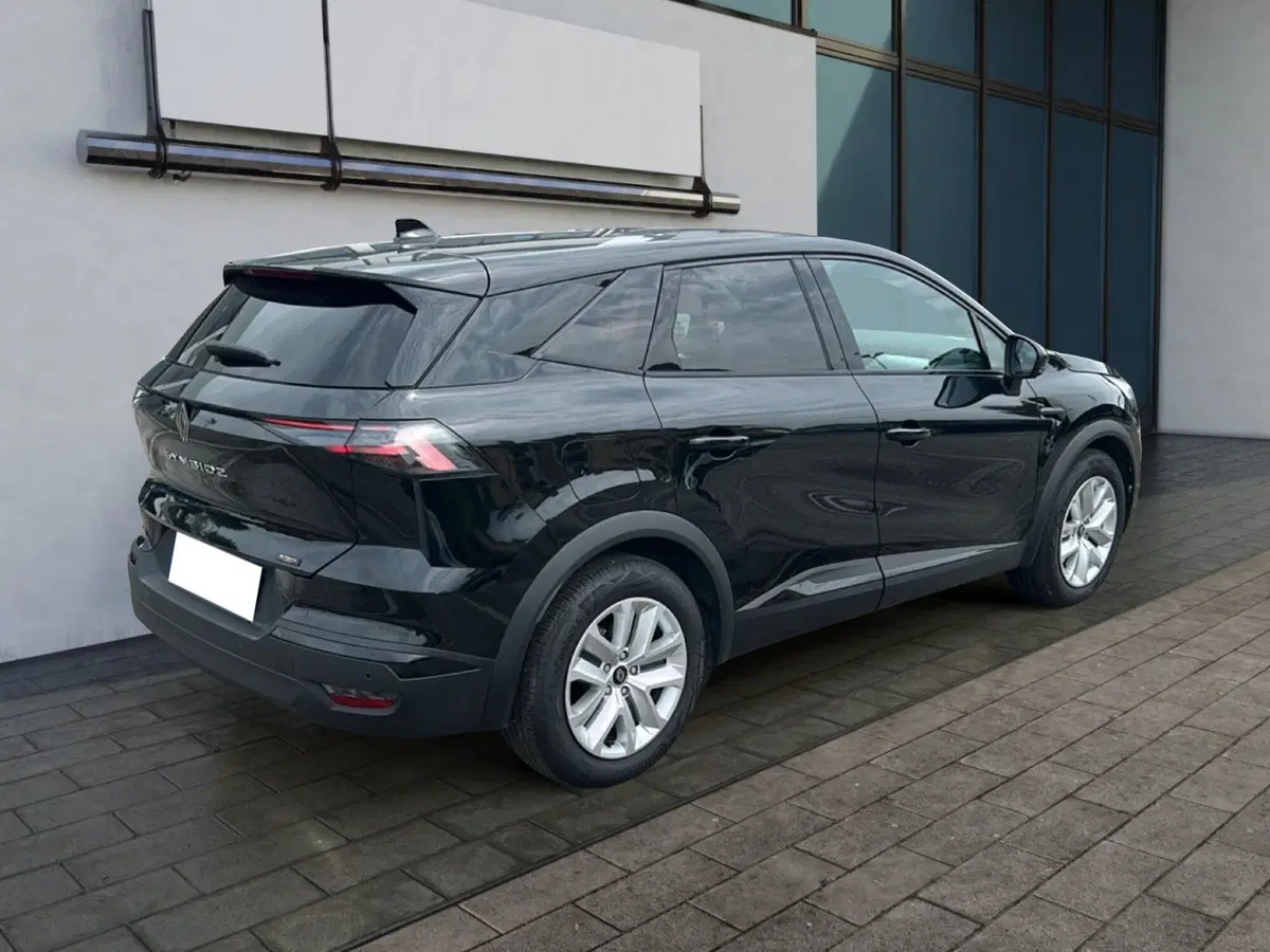 Renault Symbioz usata a Roma (4)