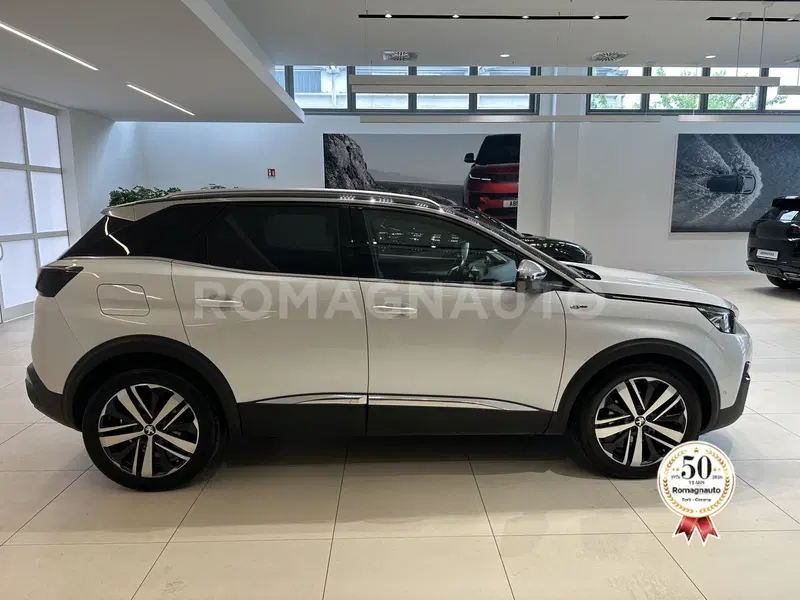 Peugeot 3008 usata a Forlì-Cesena (4)