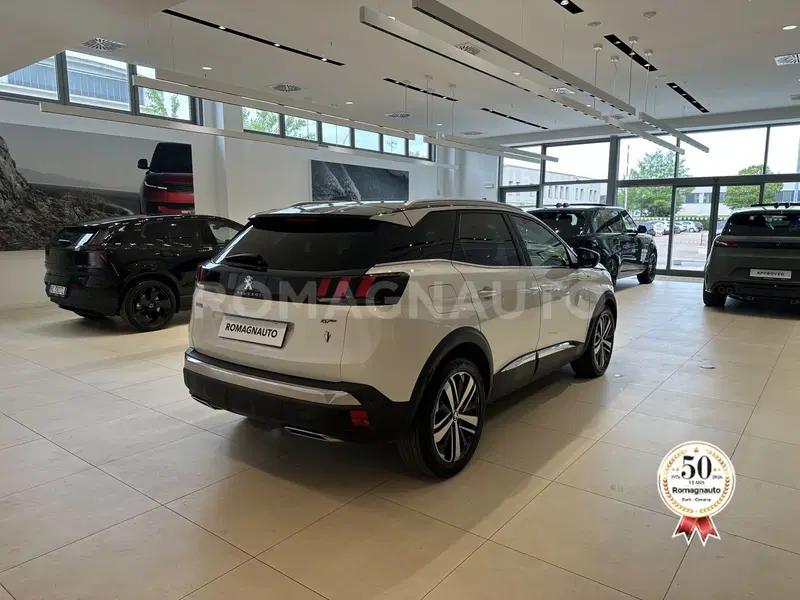 Peugeot 3008 usata a Forlì-Cesena (5)