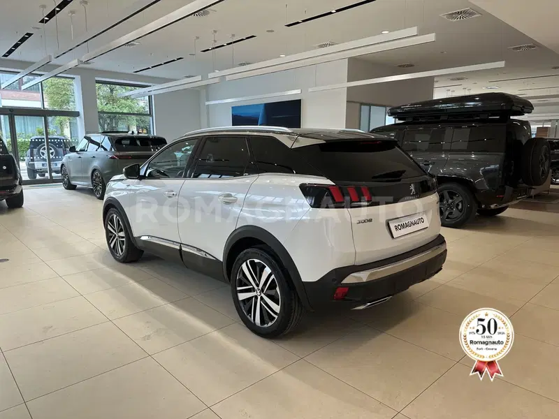 Peugeot 3008 usata a Forlì-Cesena (7)