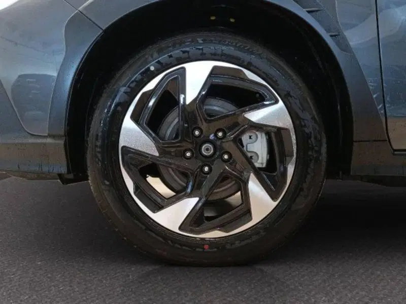 Subaru Crosstrek nuova a Novara (8)