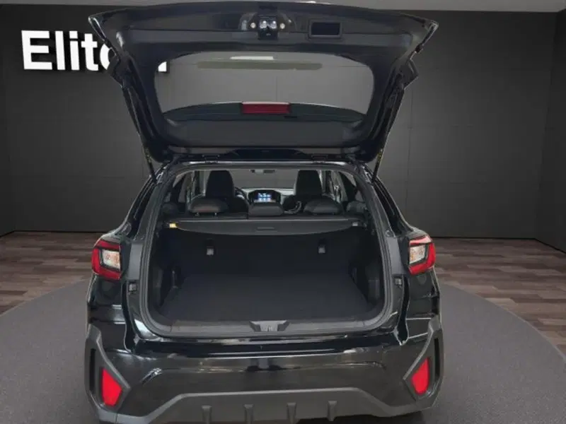 Subaru Crosstrek usata a Novara (15)