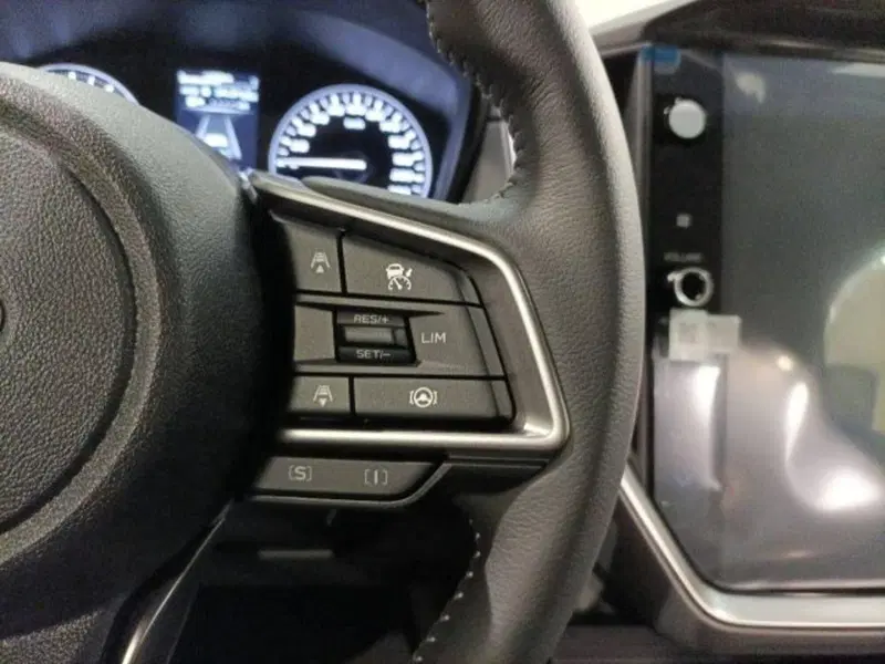Subaru Crosstrek nuova a Novara (15)