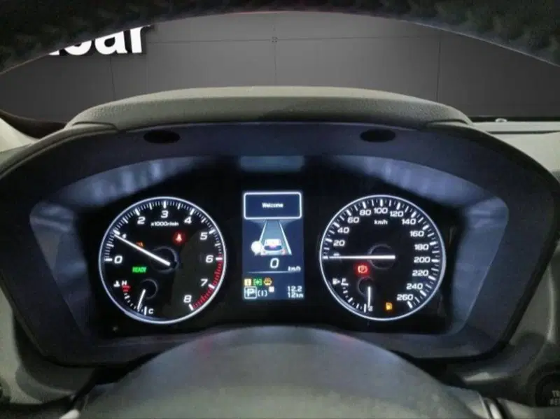 Subaru Crosstrek nuova a Novara (16)