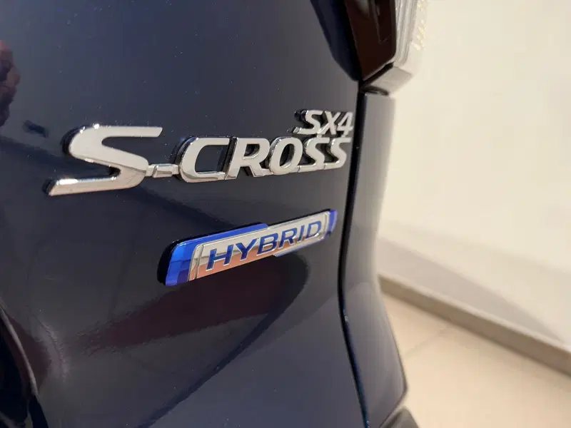 Suzuki S-Cross usata a Genova (13)