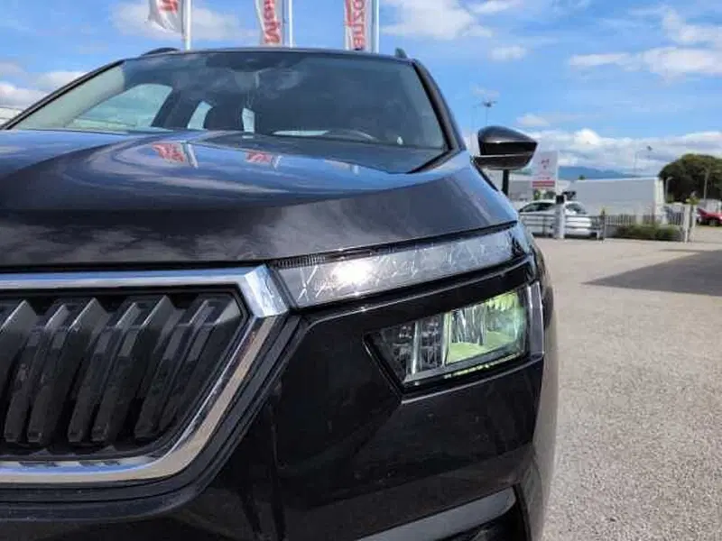 Skoda Kamiq usata a Treviso (16)