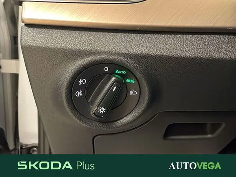 Skoda Kamiq usata a Vicenza (14)