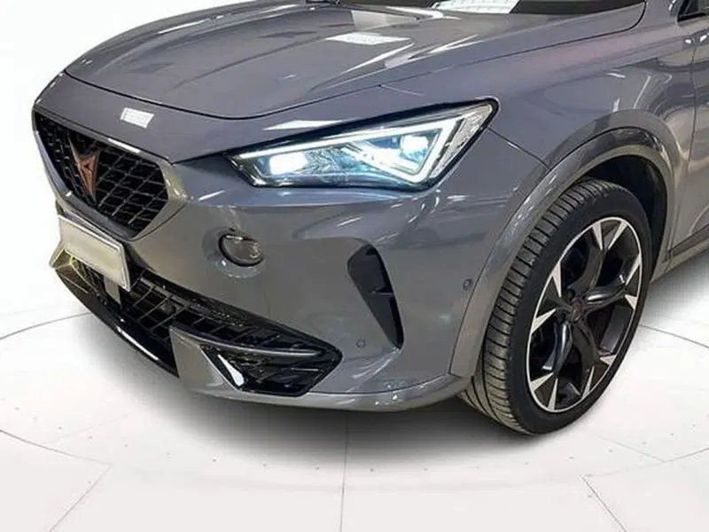 Cupra Formentor usata a Vicenza (18)