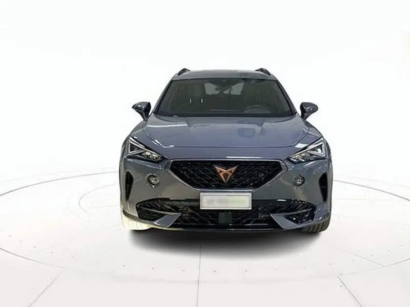 Cupra Formentor usata a Vicenza (2)