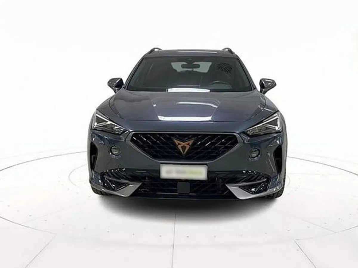 Cupra Formentor usata a Vicenza (2)