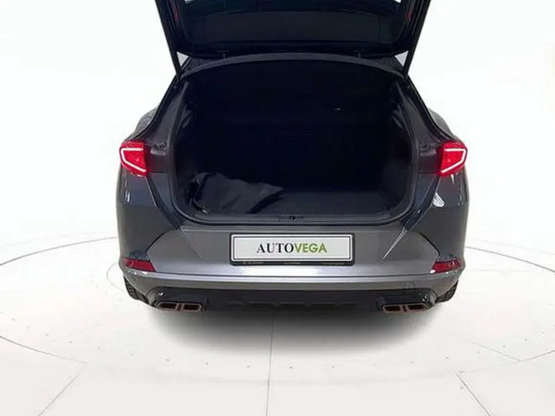 Cupra Formentor usata a Vicenza (20)