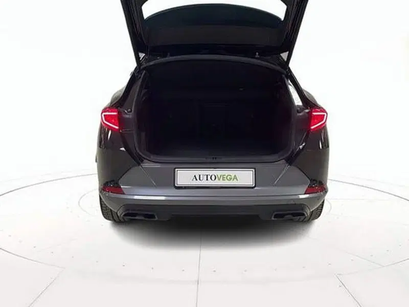 Cupra Formentor usata a Vicenza (20)
