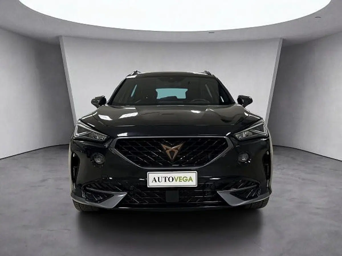Cupra Formentor usata a Vicenza (2)