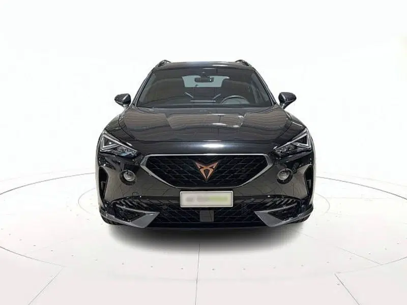 Cupra Formentor usata a Vicenza (2)