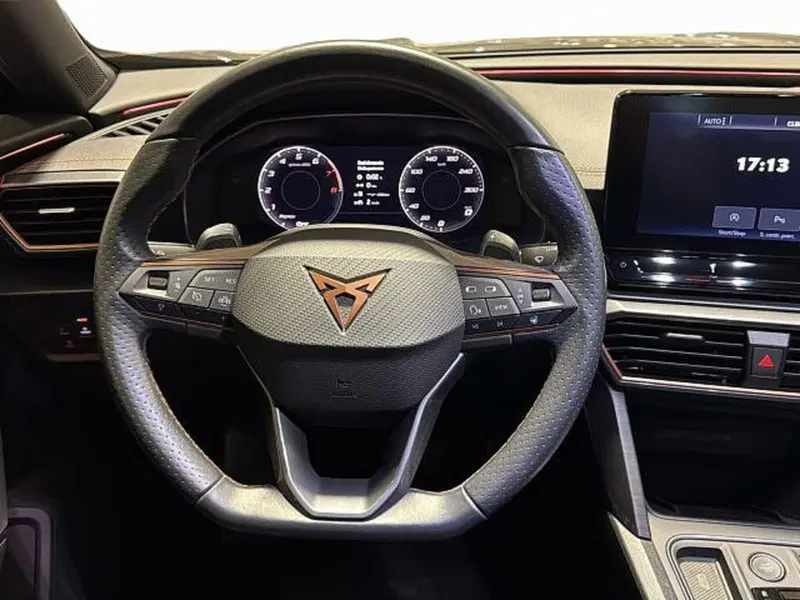 Cupra Formentor usata a Vicenza (9)