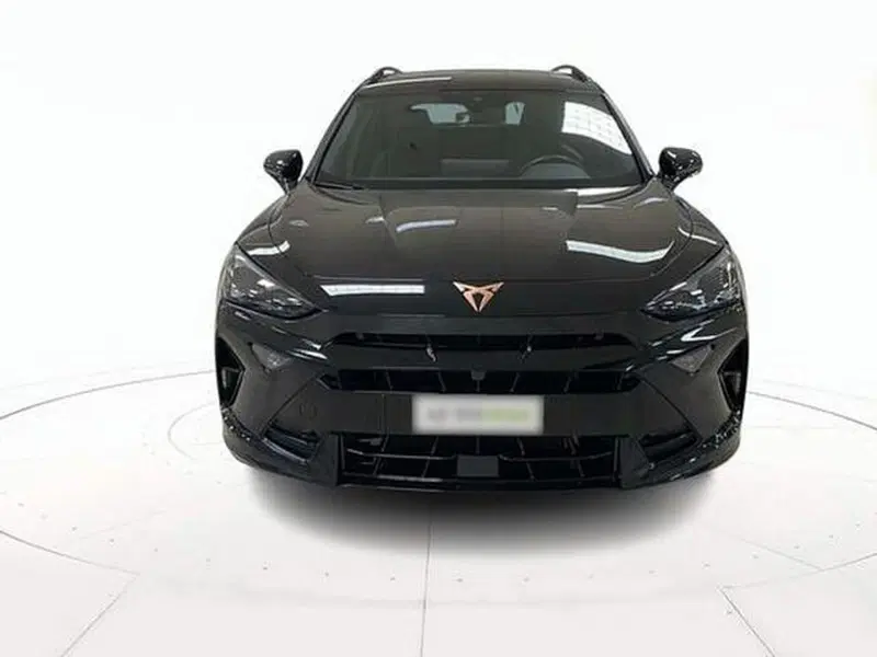 Cupra Formentor usata a Vicenza (2)